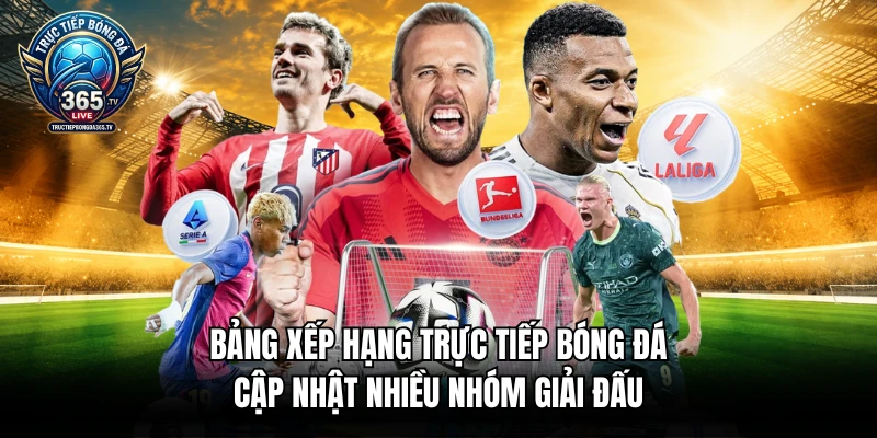 Bảng xếp hạng trực tiếp bóng đá cập nhật nhiều nhóm giải đấu