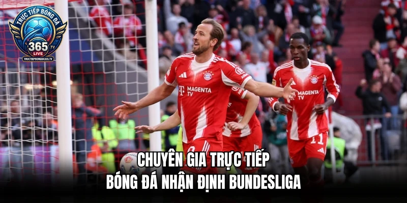 Chuyên gia trực tiếp bóng đá nhận định Bundesliga