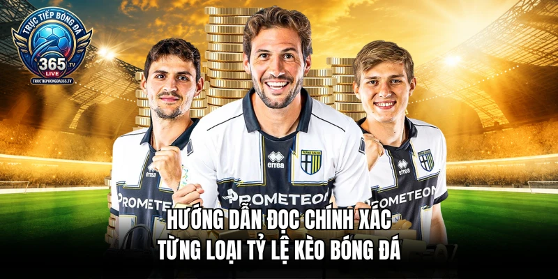 Hướng dẫn đọc chính xác từng loại tỷ lệ kèo bóng đá