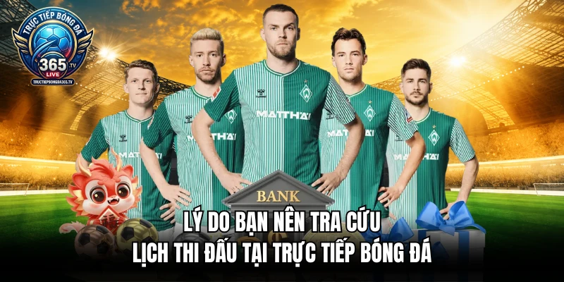 Lý do bạn nên tra cứu lịch thi đấu tại trực tiếp bóng đá