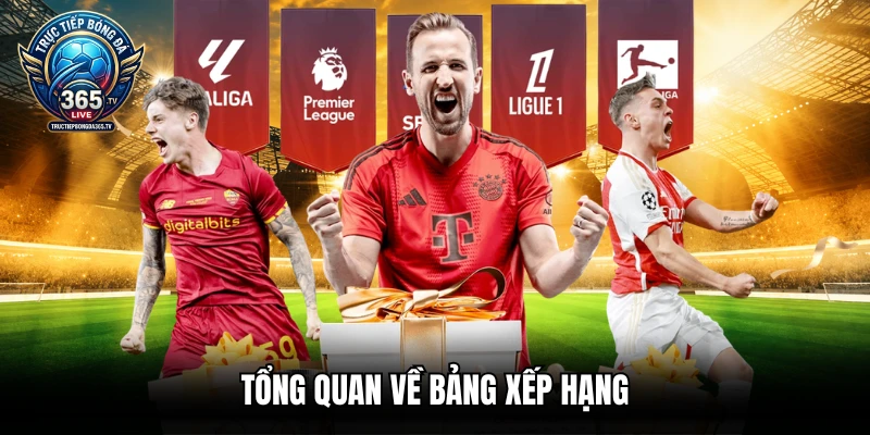 Tổng quan về bảng xếp hạng