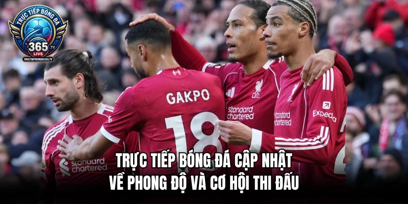 Trực tiếp bóng đá cập nhật về phong độ và cơ hội thi đấu