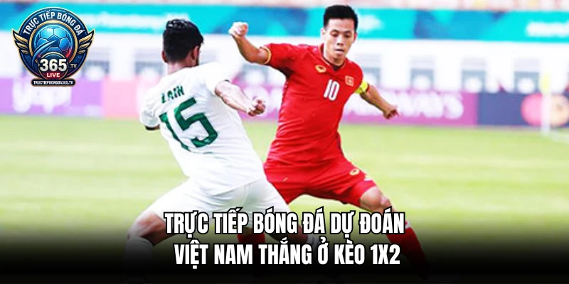 Trực tiếp bóng đá dự đoán Việt Nam thắng ở kèo 1x2